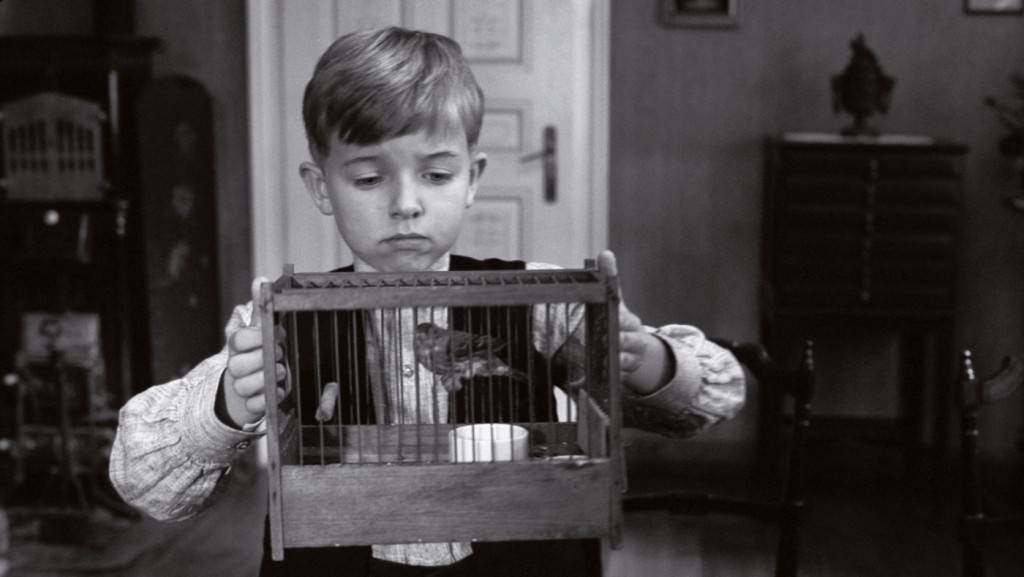 fita_branca-1024x577-e765600e