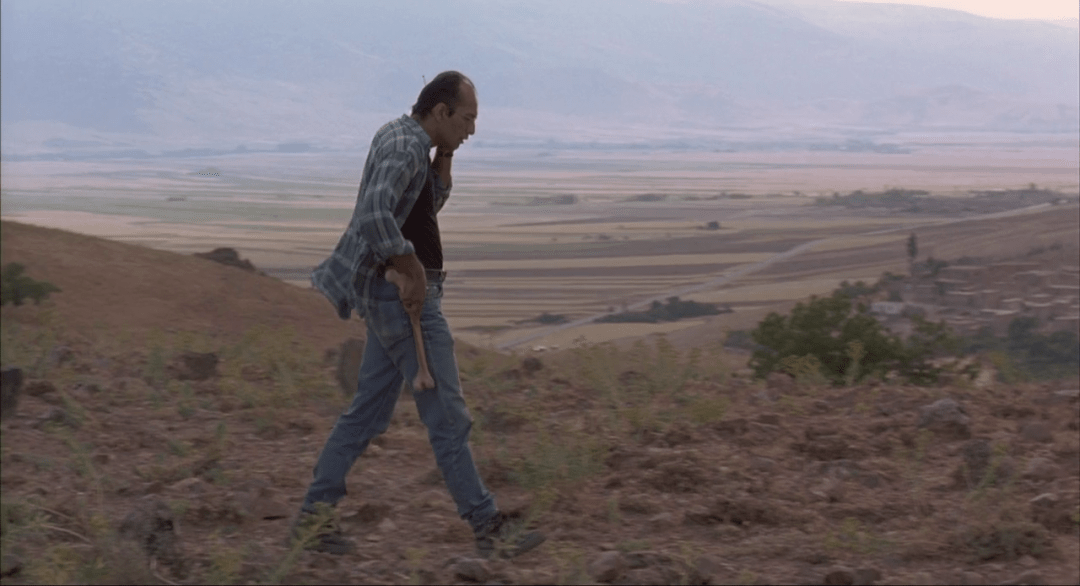 1c-b0kp6s0oh7vgpgycc4jg